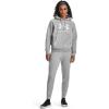 imageUnder Armour Womens Rival Fleece Big Logo Hoodie012 Mod Gray Light Heather   White