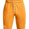 imageUnder Armour Mens Rival Terry ShortsOmega Orange 857Onyx White