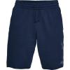 imageUnder Armour Mens Project Rock Terry ShortsNavy