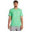 (381) Court Green / / White