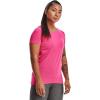 Electro Pink (695)/Metallic Silver