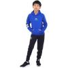 imageUnder Armour Boys Rival Fleece Graphic Hoodie400 Royal  Lizard  White