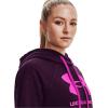 imageUnder Armour Womens Rival Fleece Logo HoodiePolaris Purple 501Meteor Pink
