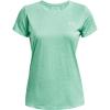 (958) Green Breeze / White / Metallic Silver