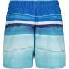 imageUnder Armour Boys Volley Fashion Swim Trunk Blue Circuit Horizon