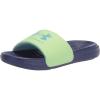 Regal (500)/Summer Lime