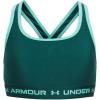(449) Hydro Teal / / Radial Turquoise