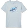 Harbor Blue Bass