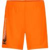 imageUnder Armour Boys Ua Tech Wordmark ShortBlaze Orange