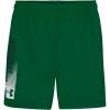 imageUnder Armour Boys Ua Tech Wordmark ShortTeam Kelly Green