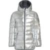 Silver Metallic Fa21