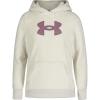 imageUnder Armour UA OUTDOOR COZY HOODIE White Clay Sherpa YMD