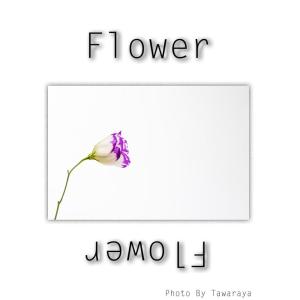 imageFlower Japanese Edition