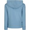 imageUnder Armour Boys Hoodie Fleece Pullover Logo ampamp Printed DesignsBlizzard  Hoodie
