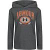 Gray - Hooded