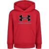 Red Mesh Logo