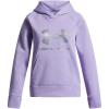 imageUnder Armour girls Rival Fleece Shimmer Hoodie538 Transparent   Iridescent