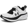 (100) White/Black/Black