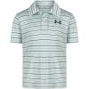 Distant Gray Stripe