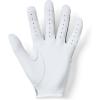 image:imageUnder Armour Womens IsoChill Golf GloveSteel