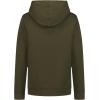 image:imageUnder Armour boys Pullover Hoodie Sweatshirt Soft amp Comfortable Fleece Outdoor CollectionGreen Carabiner