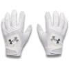 (100) White / White / Metallic Silver