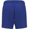 image:imageUnder Armour UnisexAdult ShortsTrywht