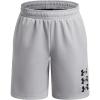 image:imageUnder Armour Boys Next Gen Shorts014 Halo Gray   Black