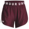 (600) Dark Maroon / White / White