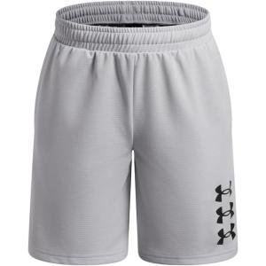 image:imageUnder Armour Boys Next Gen Shorts014 Halo Gray   Black