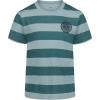 Serpentine Stripe
