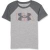 Gray Raglan Mod