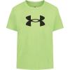 Lime Big Logo