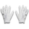 (100) White / White / Metallic Silver