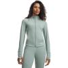 (348) Silica Green / / Metallic Silver