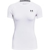 (101) White / / Halo Gray