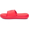(713) Racer Red/Rebel Pink/Racer Red