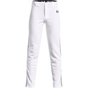 White (100)/Black