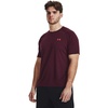 (601) Dark Maroon / / Beta
