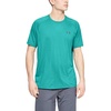 Teal Rush (454)/Pitch Gray