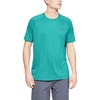 Teal Rush