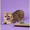 imagePETKIT 5 in 1 Mixed Cat Litter4 Bags and Purifying Refills4 Bottles for PURA MAX and PURA X Automatic Cat Litter BoxOdor Removal