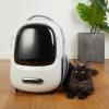 imagePETKIT Cat Backpack Carrier with Inbuilt Fan ampamp Light AirlineApproved Pet Backpack Bubble for Kitty Small Dog Detachable Dog Backpack with Padded Strap for Travel Hiking Walking ampamp OutdoorWhite