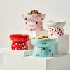 imagePETKIT Ceramic Raised Cat Food Bowls Elevated Cat Food Water Bowls Elevated Porcelain Dish Bowls fr Puppy CatsONE GREEN BOWL