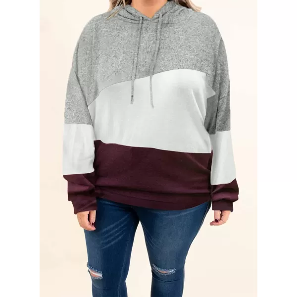 Eytino Women Plus Size Hoodies Sweatshirts Long Sleeve Colorblock Drawstring Hooded Tops