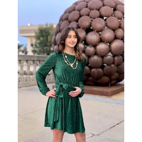 Happy Sailed Women's Velvet Cocktail Dress Fall Fashion Lantern Sleeve High Waist A-Line Skater Party Dresses with Belt