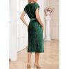 imageHappy Sailed Winter Fall Sleeveless Crewneck Velvet Cocktail Dress Party Midi Dresses with PocketsDark Green