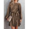 imageHappy Sailed Womens Velvet Dress Fall Fashion Lantern Sleeve High Waist ALine Skater Cocktail Party Dresses with BeltBrown