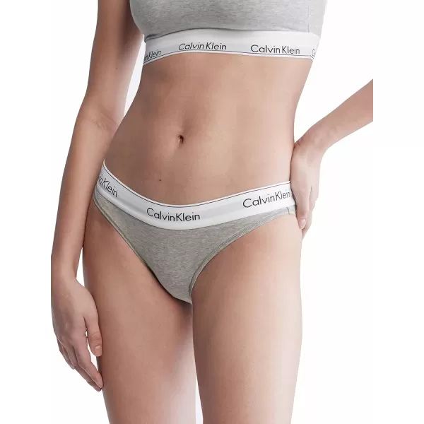 Calvin Klein Womens Modern Cotton Bikini PantyBlack