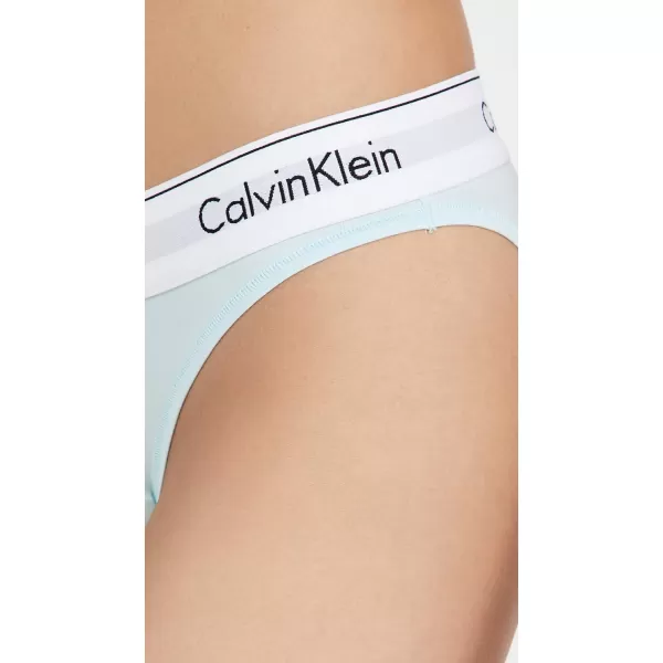 Calvin Klein Womens Modern Cotton Bikini PantyFrost Blue